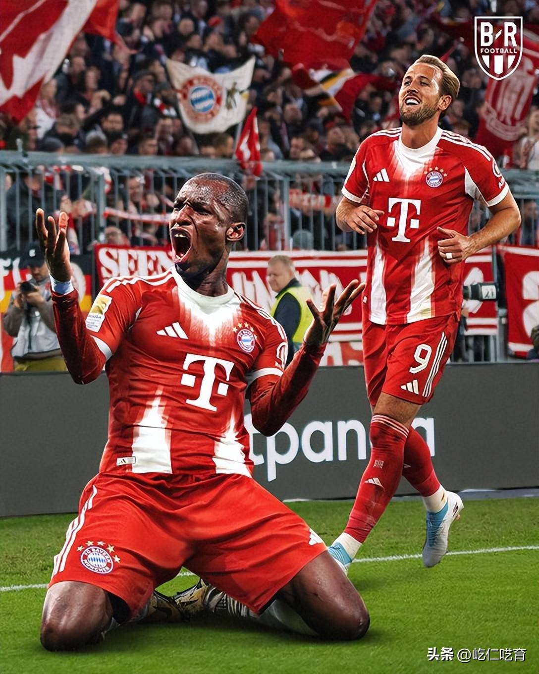 德国杯历届冠军一览-南宫娱乐